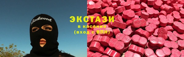 стаф Алзамай