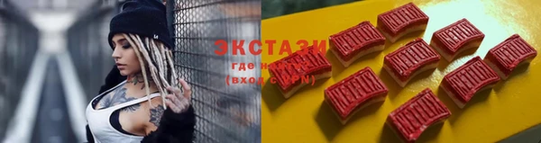 стаф Алзамай