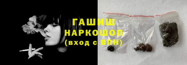 стаф Алзамай