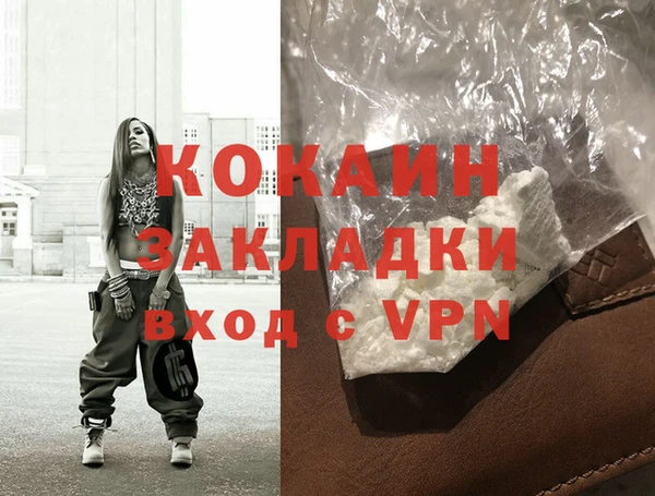 стаф Алзамай