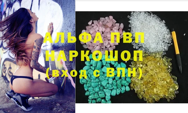 стаф Алзамай