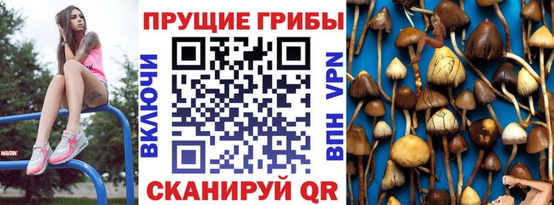 Псилоцибиновые грибы прущие грибы Дюртюли